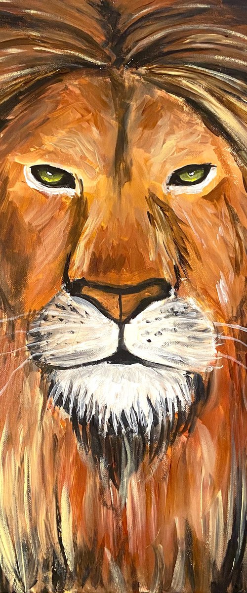 Lions Gaze by Aisha Haider
