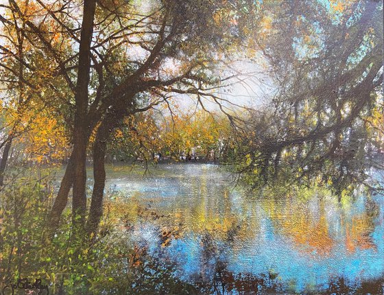 'Reflections of Autumn Light'