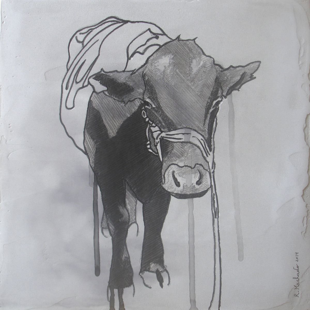 Bull by Ricardo Machado