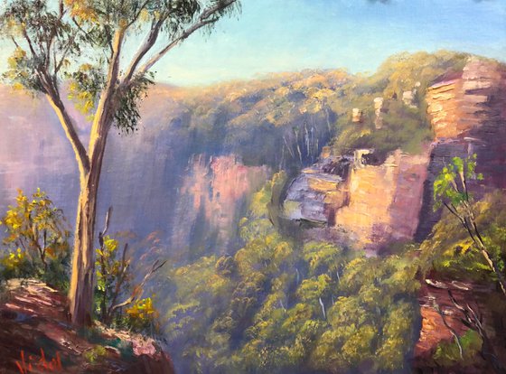 View at Mt Boyce