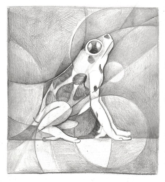 Dynamic study of a little frog