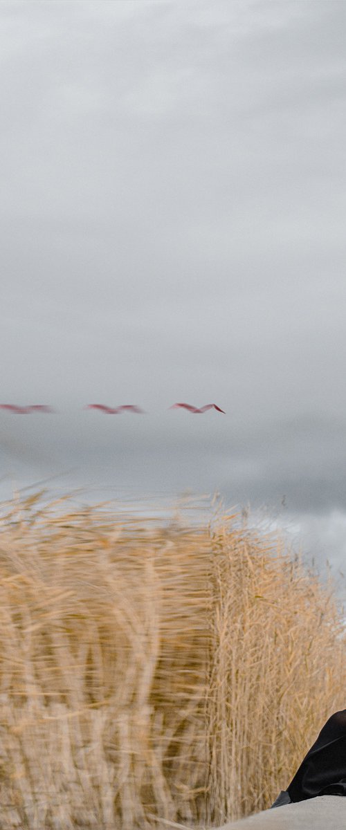 Wind Of Change by Dasha Pears