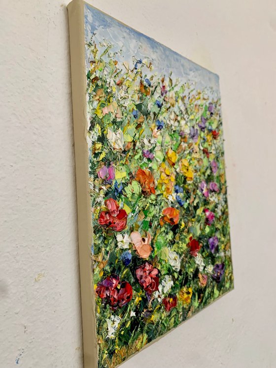 Colorful summer flowers