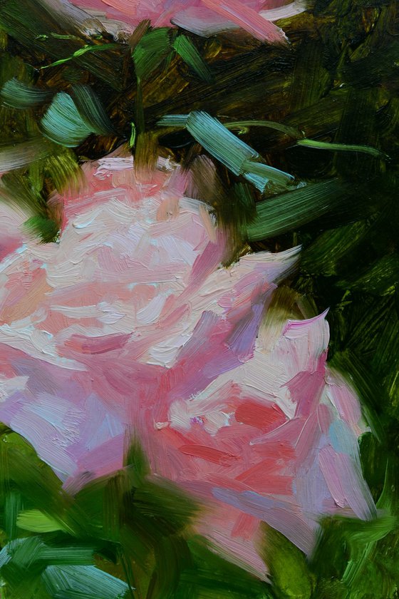Roses on a sunny day