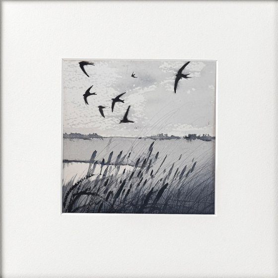 Marshes swallows