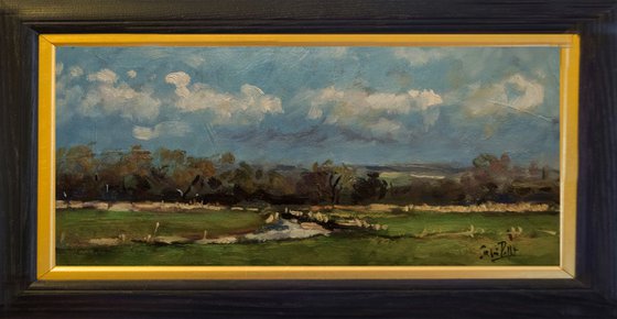 Fields near Arundel