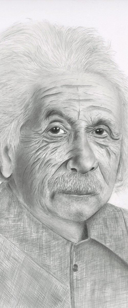 Albert Einstein by Maxine Taylor