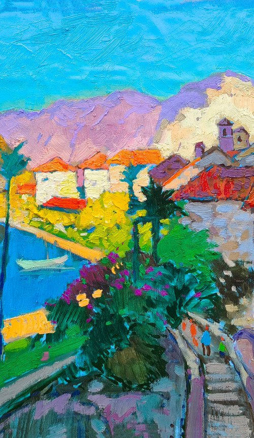 Kotor by Alexander Shandor