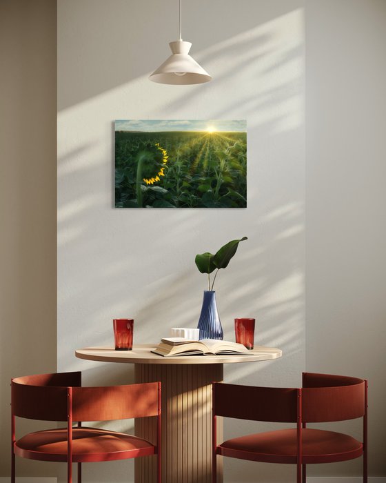 Turning to the Light