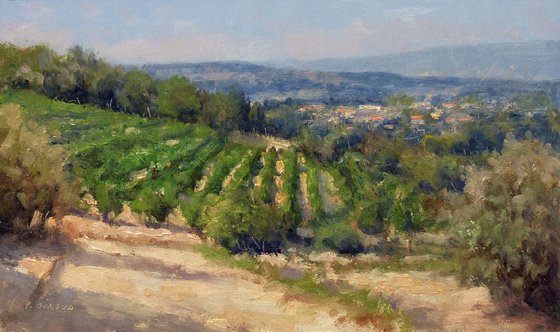 Vineyards near Châteauneuf