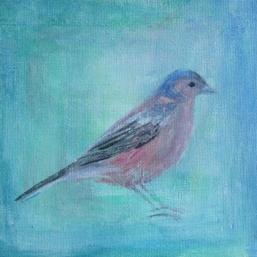 Chaffinch by Victoria Lucy Williams