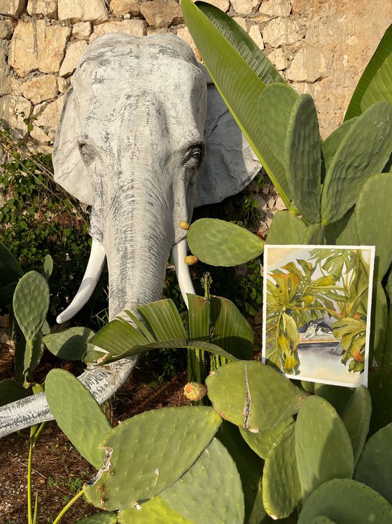 Сat and monstera leaves