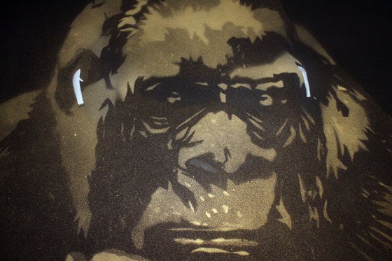 Gorilla in the groove (aP).
