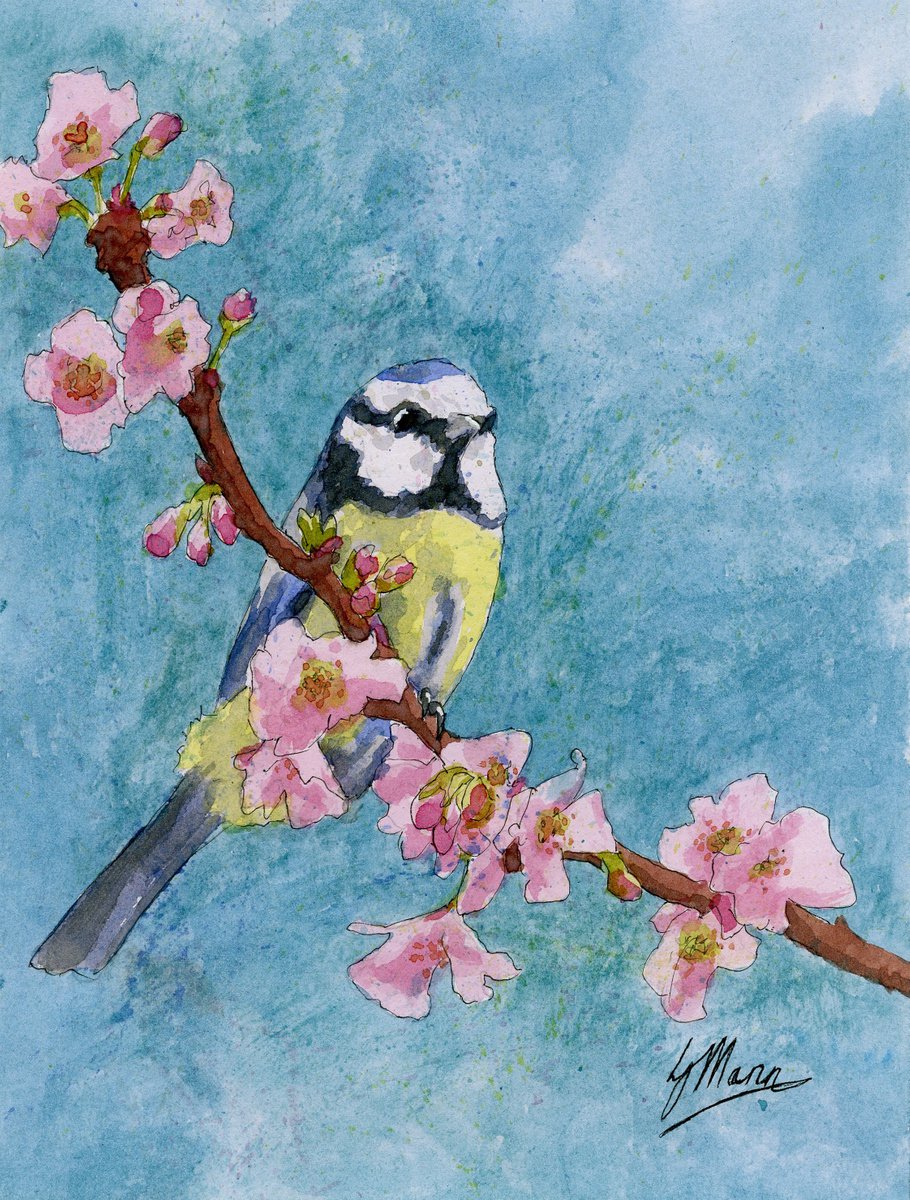 Blue Tit and Blossom by Lisa Mann