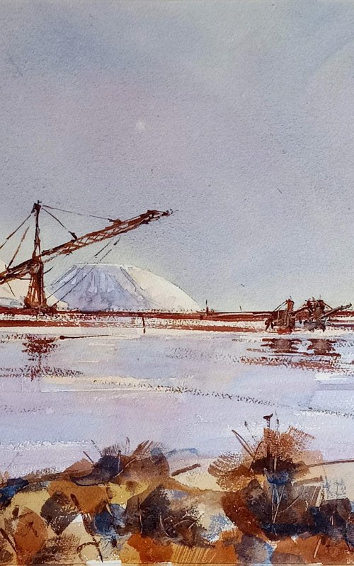 Le salin d'Aigues-Mortes by Tollo Pozzi