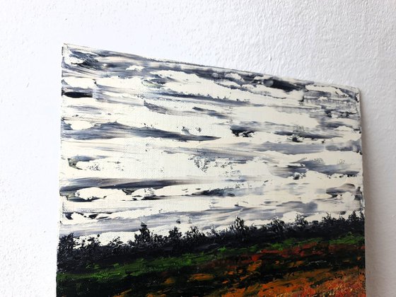 Meadow after rain 2