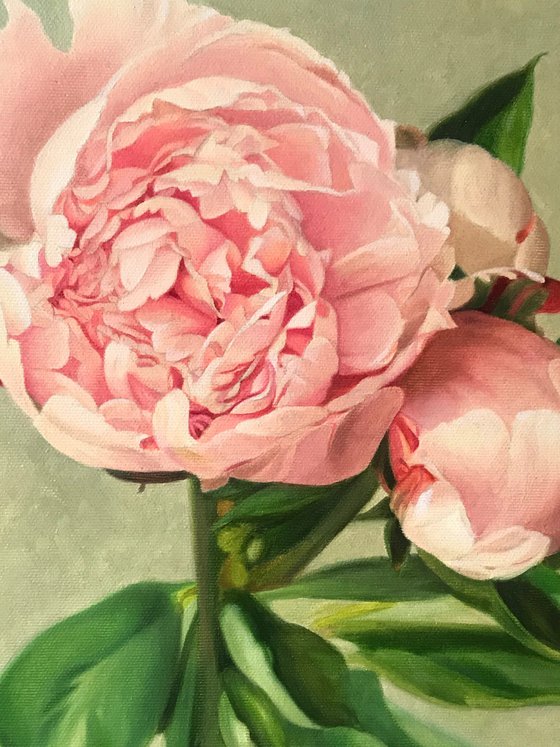 small bouquet of pink peonies