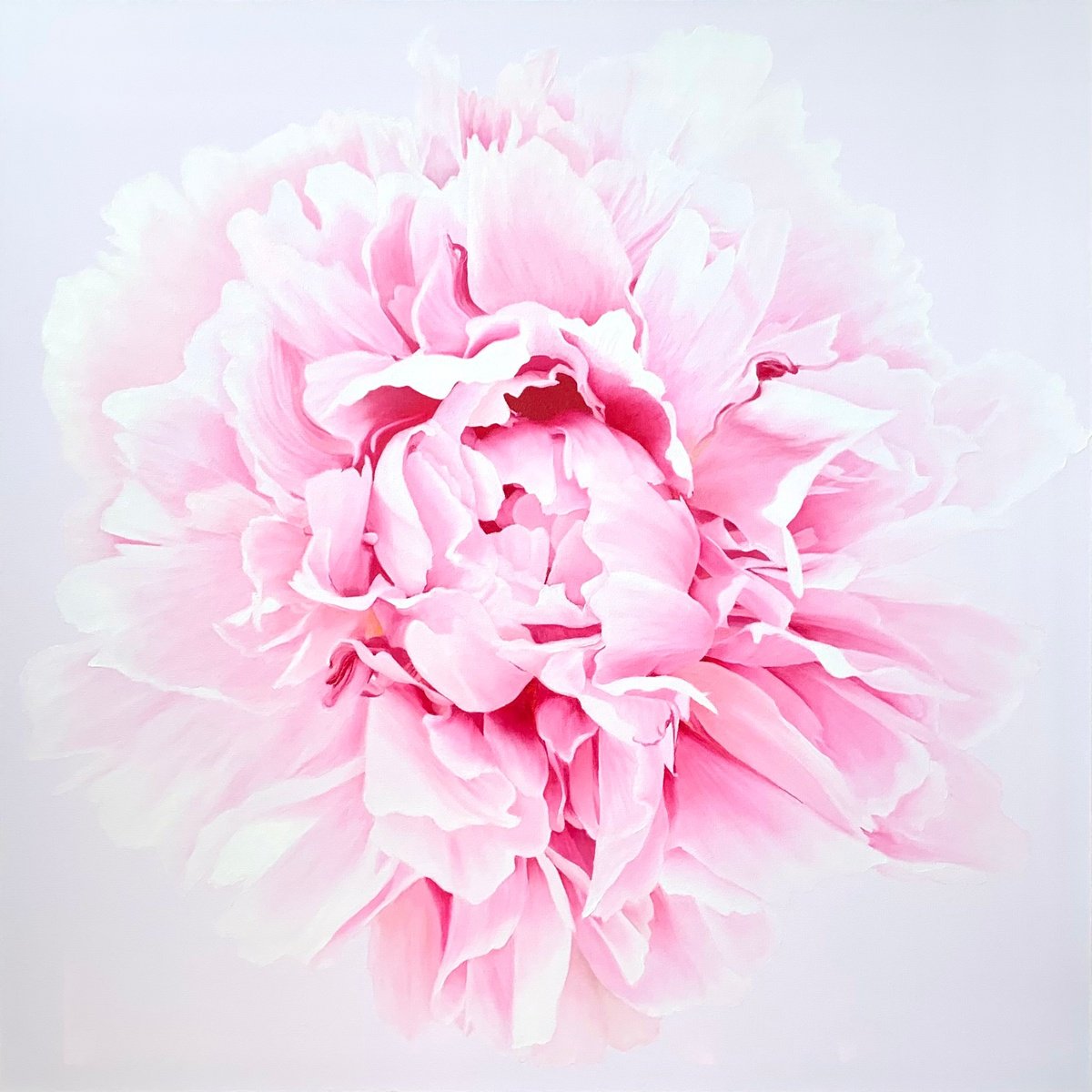 Photorealistic Oil Painting , Ethereal Peony By Alla Kallas, 36 X 36, Artwork For Sale On Artfinder
