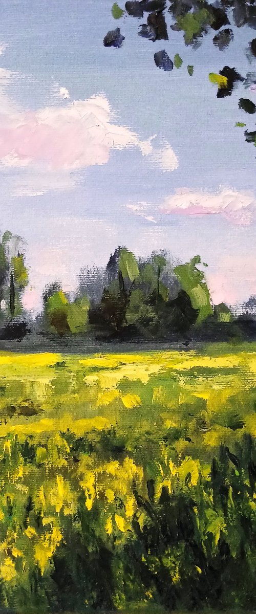 Blooming meadow by Oleh Rak