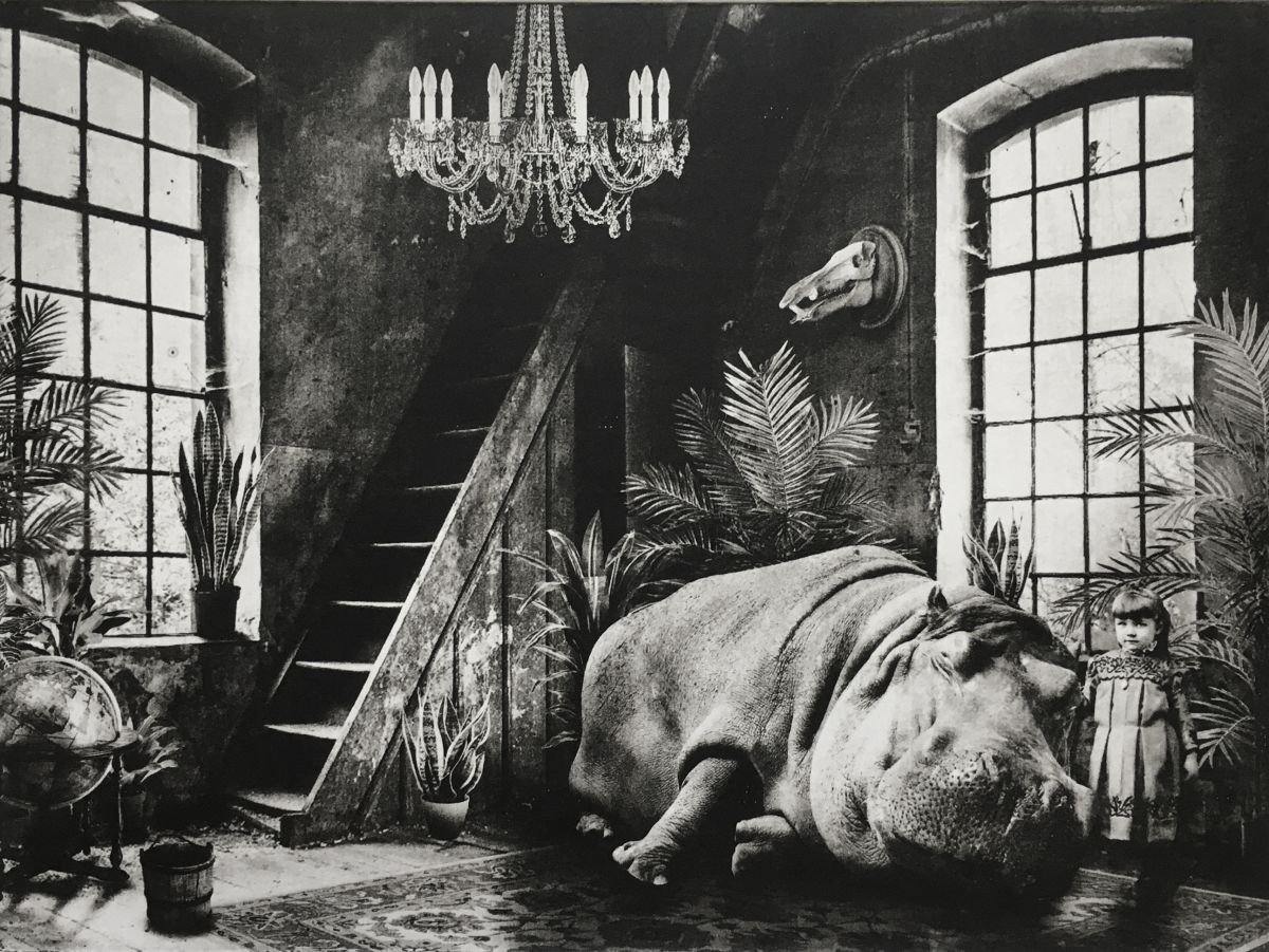 Photorealistic Animal Etchings & Engravings By Jaco Putker, 13 X 10, Interior No.36, Original Artwork