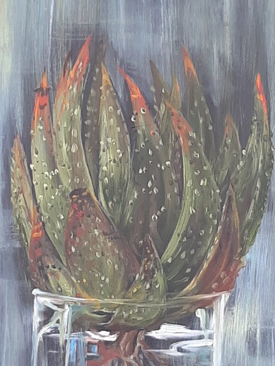 The Glass Aloe