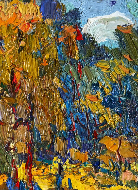 Sunbeams on the meadows