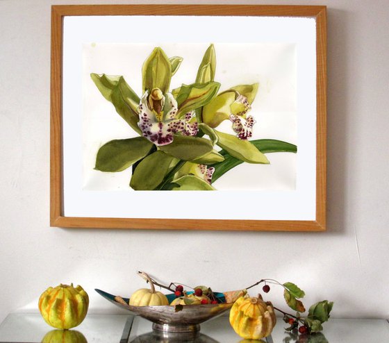 green cymbidium orchid watercolor