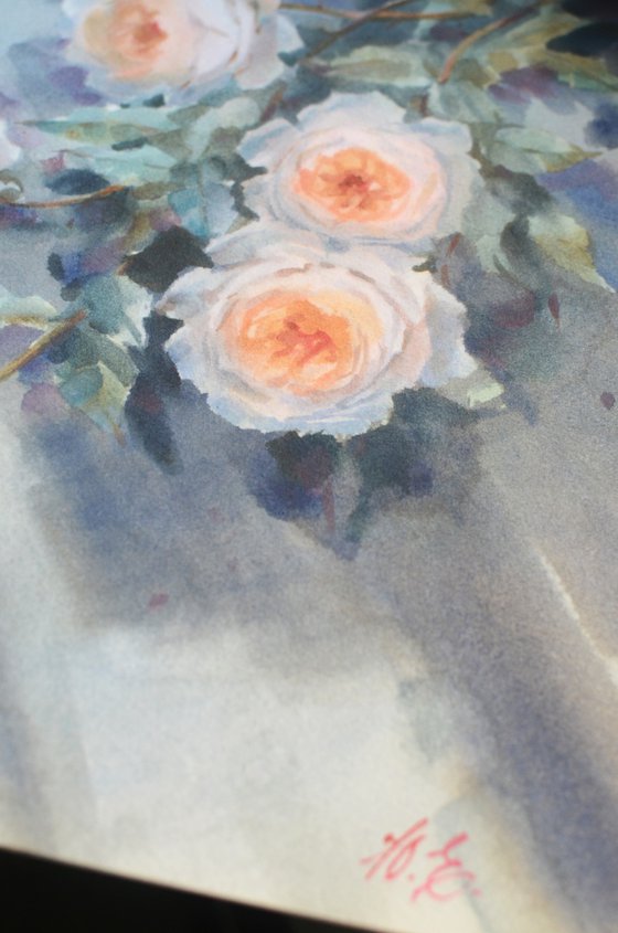 Roses and Shadows