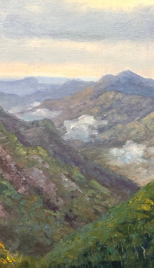 Clearing Weather at Kanangra Boyd, NP - Plein air painting by Christopher Vidal