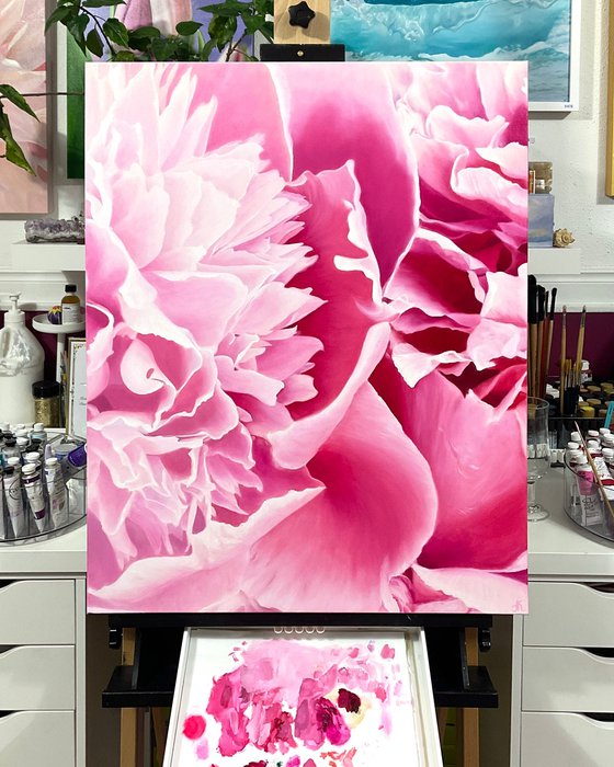 Angel’s Kiss. Peonies