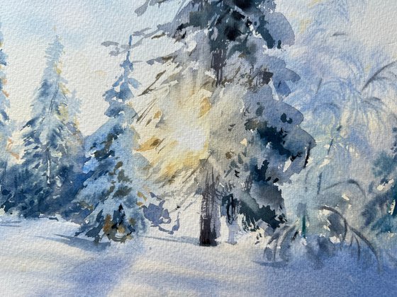 Winter forest in the sunlight #3