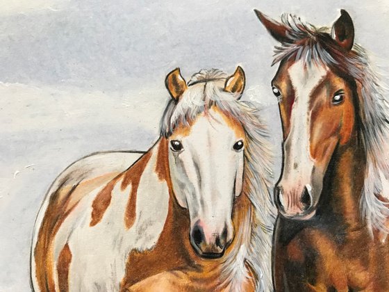 Three horses