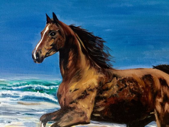 Galloping horse .  Freedom . On sale.