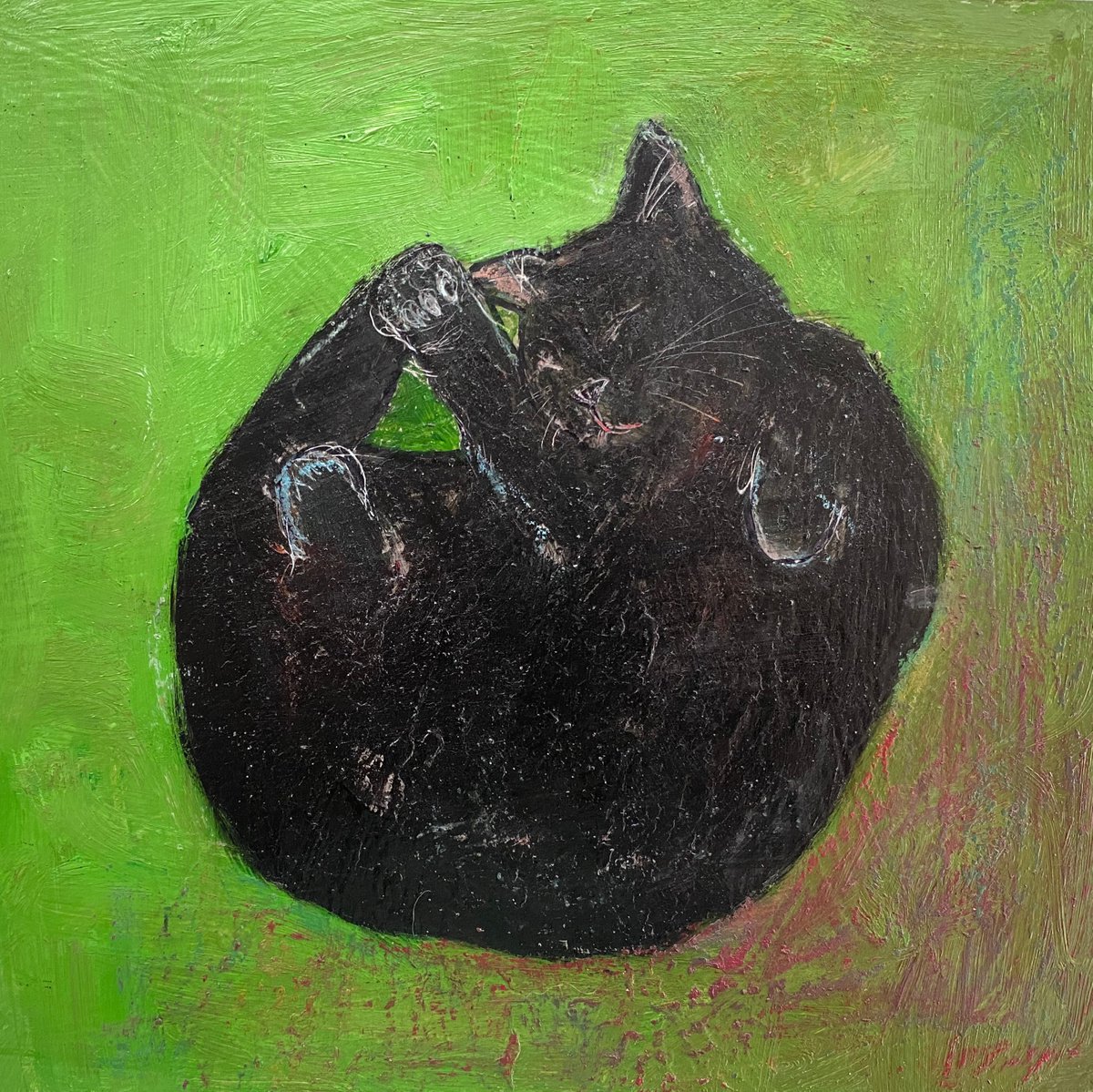 Sleeping Black Cat on Green by Teresa Tanner