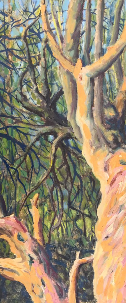 The Old Tree by Ashley Baldwin-Smith