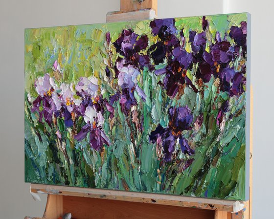Blooming Irises