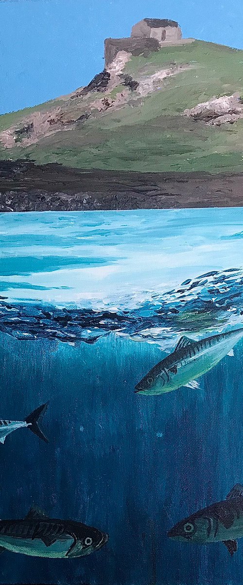 Mackerel at Porthmeor by Jackie Ward