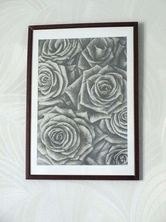 Roses. Sheet 02. Graphite Flowers Series