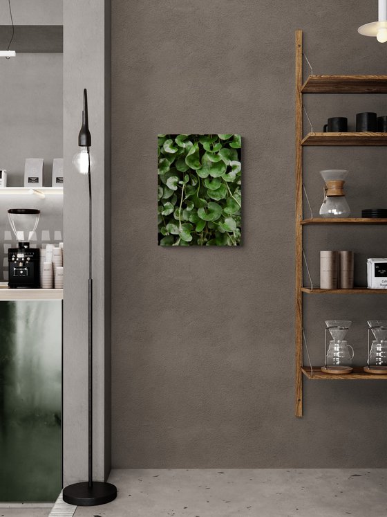 Green Pattern