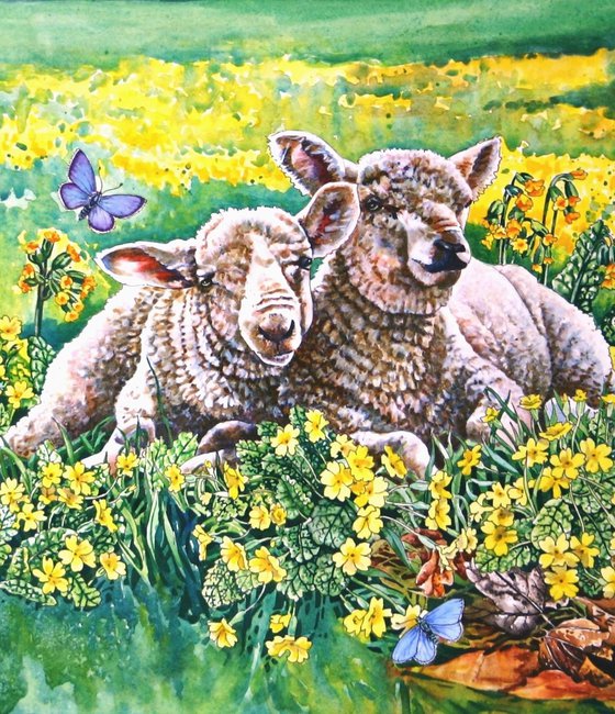 Spring Lambs