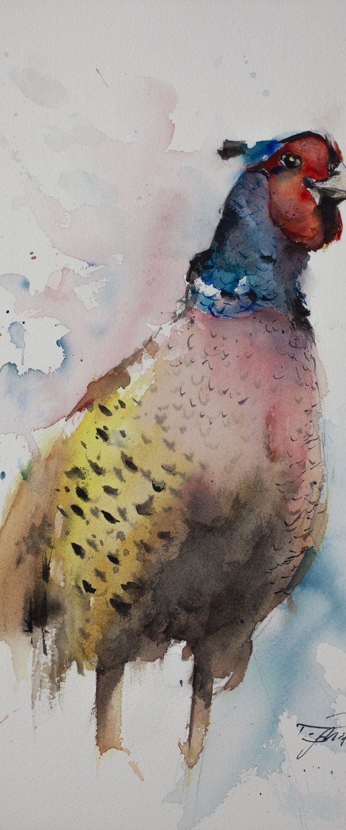 Pheasant II by Tomasz Mikutel