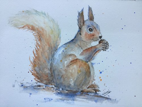 Squirrel by Sabrina’s Art