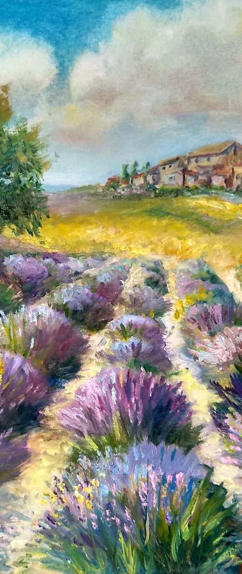 Landscape with Lavender 40*40cm by Ann Krasikova