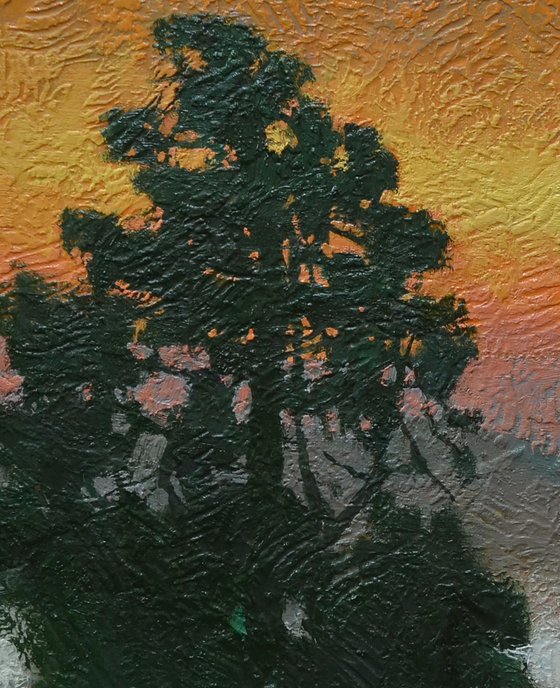 Evening Light