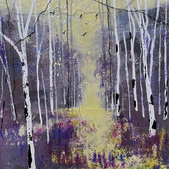 Seasons - Violet Autumn, Silver Birches