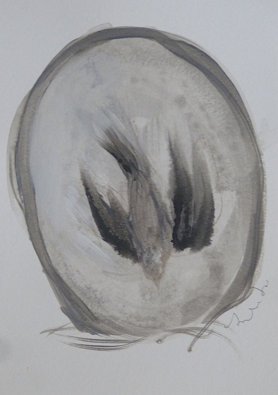 The Bird 25-6