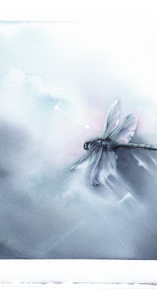 Glimpse II - Dragonfly watercolor painting by ieva Janu