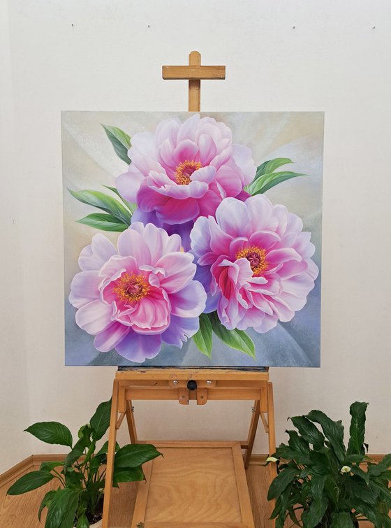 Melody of peonies