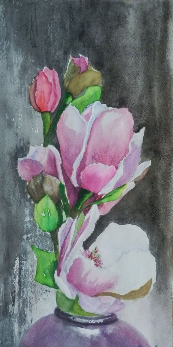 Magnolia flowers by Maria Karalyos