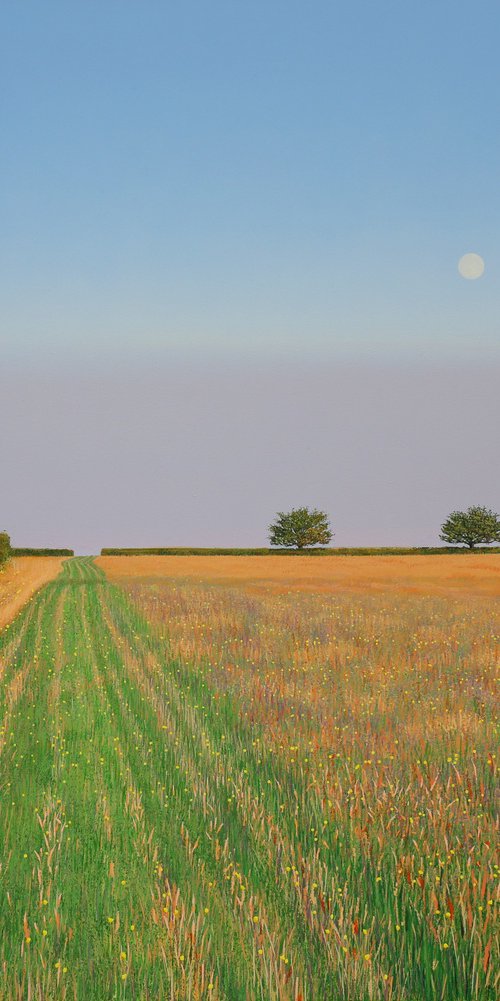 Moon over Brynhoffnant by Nigel Wood